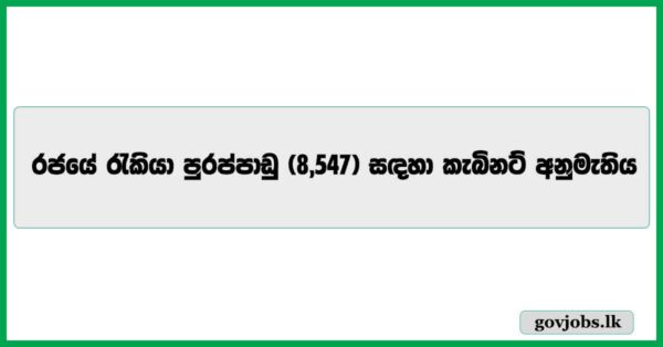 Cabinet approves filling 8,547 institution vacancies.