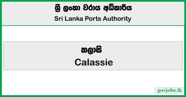 Calassie - Sri Lanka Ports Authority Job Vacancies 2025