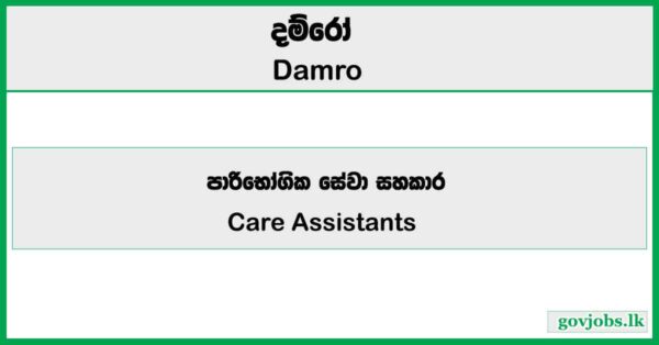 Care Assistants - Damro Job Vacancies 2026