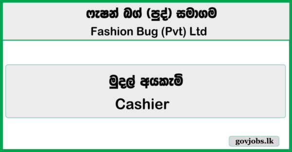 Cashier - Fashion Bug (Pvt) Ltd Job Vacancies 2026