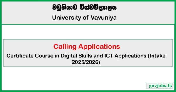 Certificate in Digital Skills and ICT Applications 2025