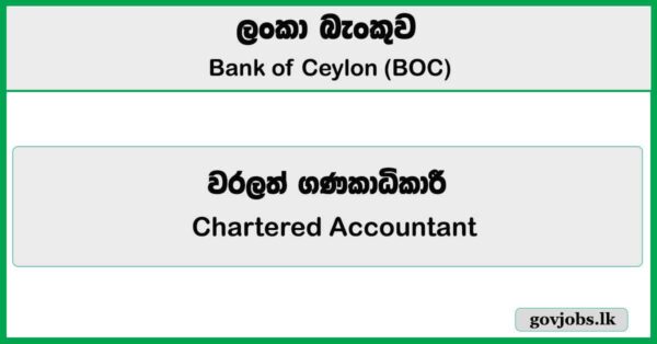 Chartered Accountant - Bank of Ceylon (BOC) Job Vacancies 2025