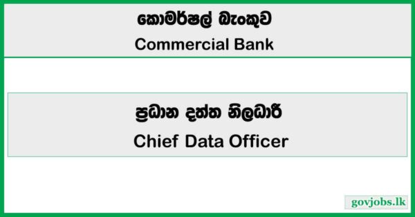 Chief Data Officer - Commercial Bank Job Vacancies 2026