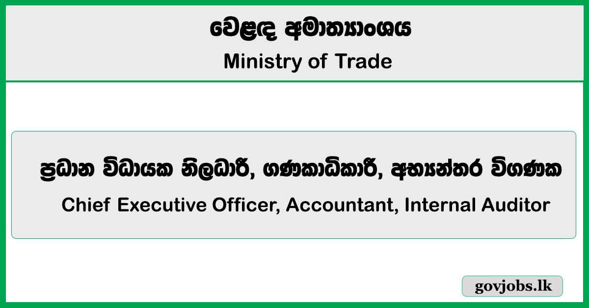 Chief Executive Officer, Accountant, Internal Auditor - Ministry of Trade Job Vacancies 2025