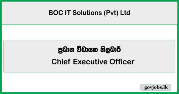 Chief Executive Officer - BOC IT Solutions (Pvt) Ltd 2025 Vacancies