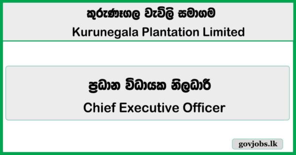 Chief Executive Officer – Kurunegala Plantation Limited Job Vacancies 2026