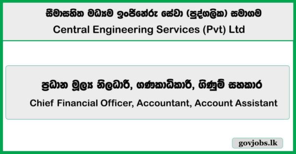 Chief Financial Officer, Accountant, Account Assistant – Central Engineering Services (Pvt) Ltd Job Vacancies 2025