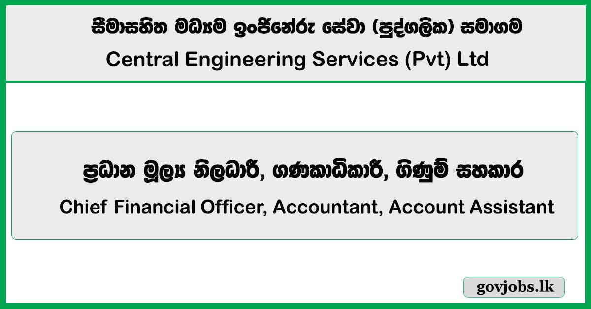 Chief Financial Officer, Accountant, Account Assistant – Central Engineering Services (Pvt) Ltd Job Vacancies 2025