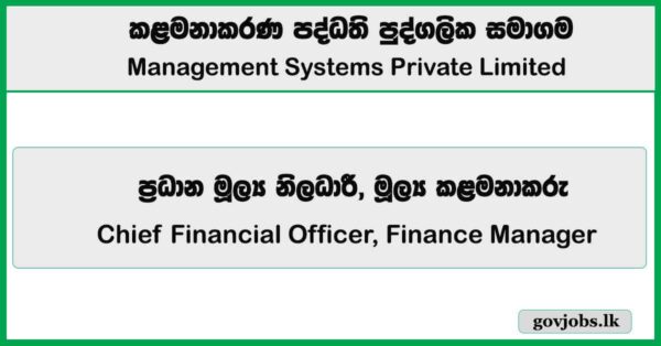 Chief Financial Officer, Finance Manager – Management Systems Private Limited Job Vacancies 2026