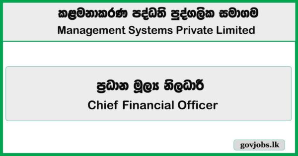 Chief Financial Officer – Management Systems Private Limited Job Vacancies 2025