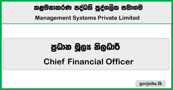 Chief Financial Officer – Management Systems Private Limited Job Vacancies 2026
