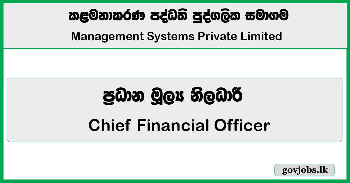 Chief Financial Officer – Management Systems Private Limited Job Vacancies 2026