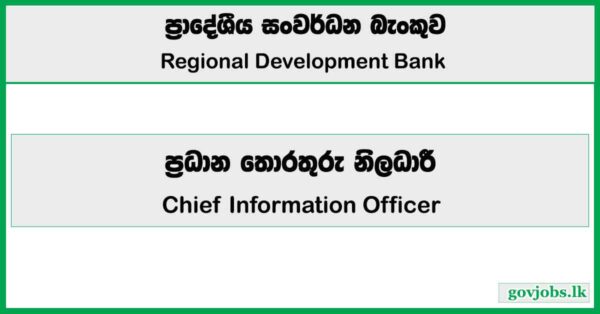 Chief Information Officer - Regional Development Bank Job Vacancies 2026