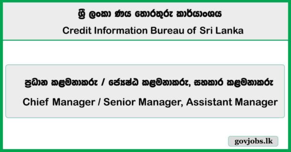 Chief Manager, Senior Manager, Assistant Manager – Credit Information Bureau of Sri Lanka 2025 Job Vacancies