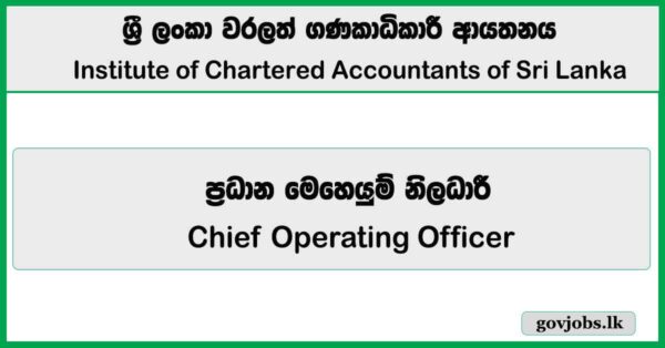 Chief Operating Officer – CA Sri Lanka Vacancies 2026