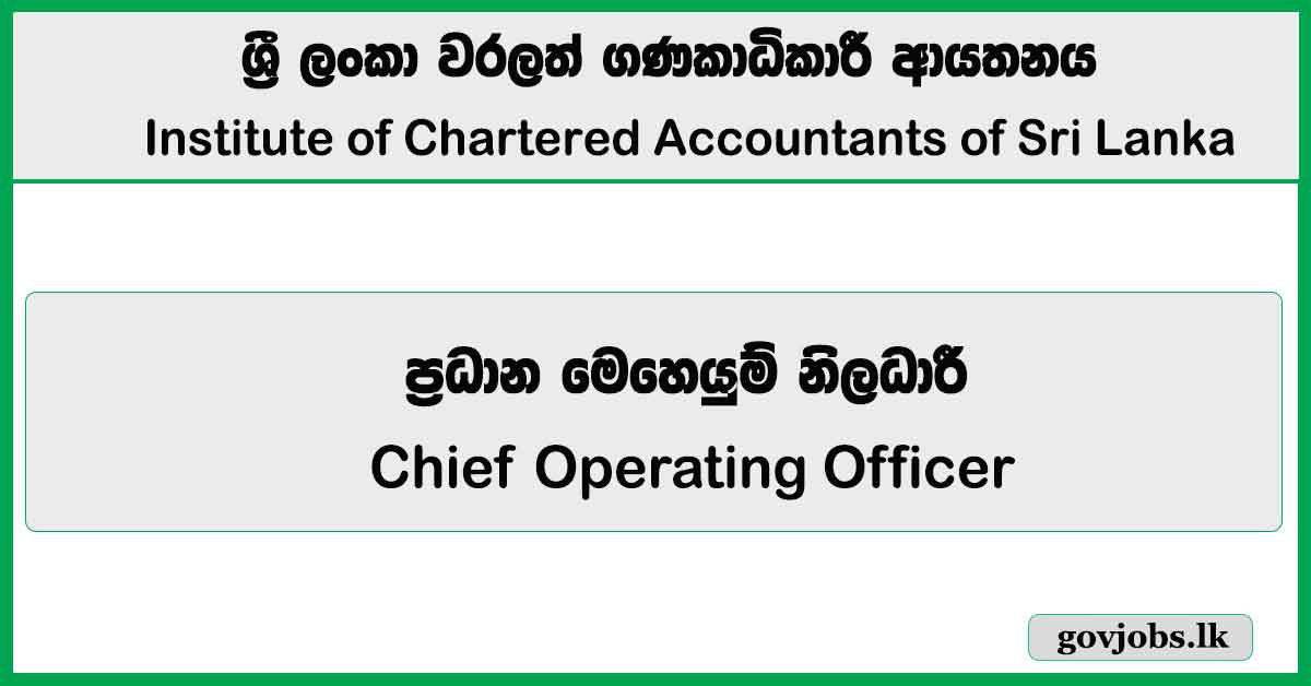 Chief Operating Officer – CA Sri Lanka Vacancies 2026