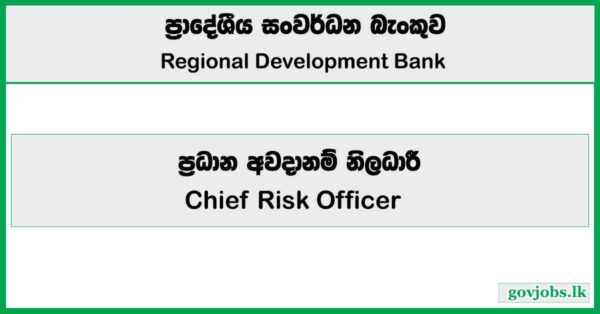 Chief Risk Officer - Regional Development Bank Job Vacancies 2025