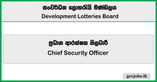 Chief Security Officer - Development Lotteries Board (DLB) Job Vacancies 2025