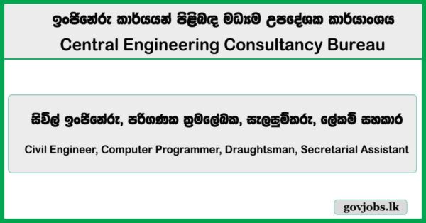 Civil Engineer, Computer Programmer, Draughtsman, Secretarial Assistant - Central Engineering Consultancy Bureau Job Vacancies 2026