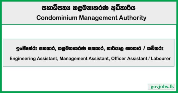 Condominium Management