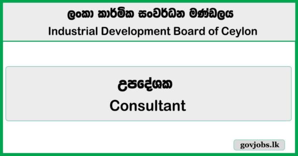 Consultant - Industrial Development Board of Ceylon Job Vacancies 2025