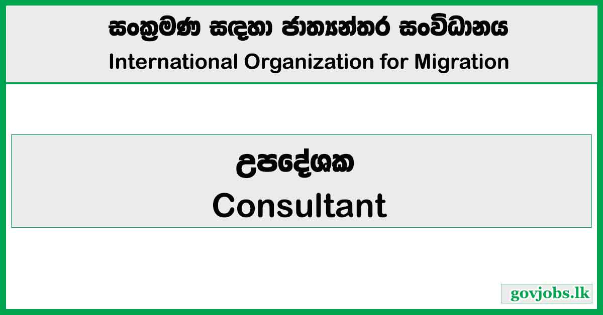 Consultant - International Organization for Migration Job Vacancies 2026