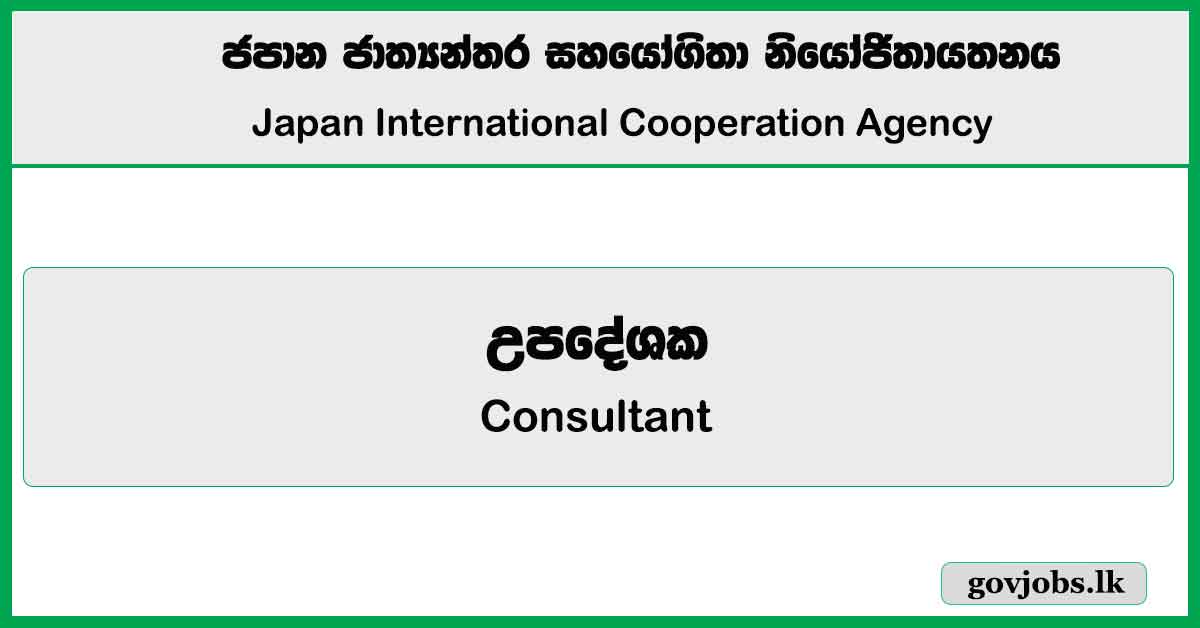 Consultant - Japan International Cooperation Agency Job Vacancies 2024