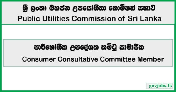 Consumer Consultative Committee Member – Public Utilities Commission Job Vacancies 2025