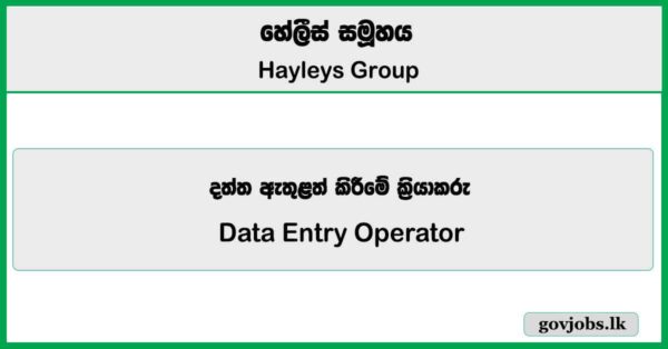 Data Entry Operator (Kandy) - Hayleys Group Vacancies 2025