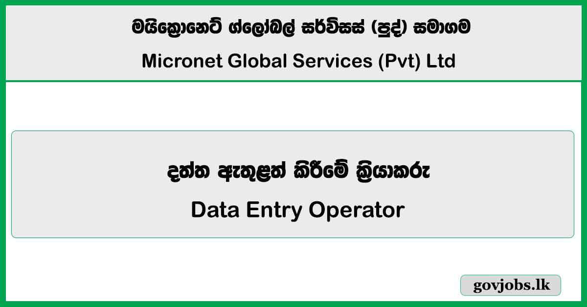 Data Entry Operator - Micronet Global Services (Pvt) Ltd Job Vacancies 2025