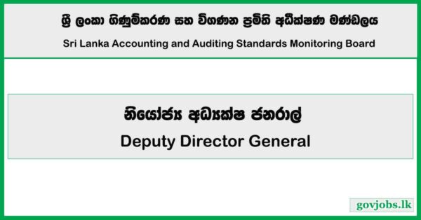 Deputy Director General - Sri Lanka Accounting and Auditing Standards Monitoring Board Job Vacancies 2026