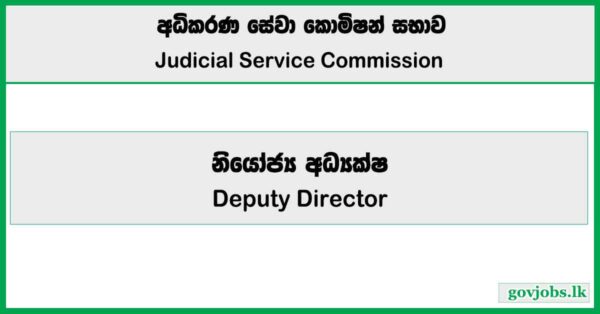 Deputy Director – Judicial Service Commission Job Vacancies 2025