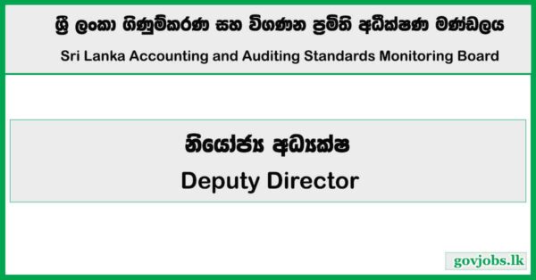 Deputy Director – Sri Lanka Accounting & Auditing Standards Monitoring Board Job Vacancies 2026
