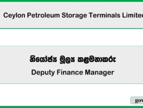 Deputy Finance Manager – Ceylon Petroleum Storage Terminals Limited Job Vacancies 2025