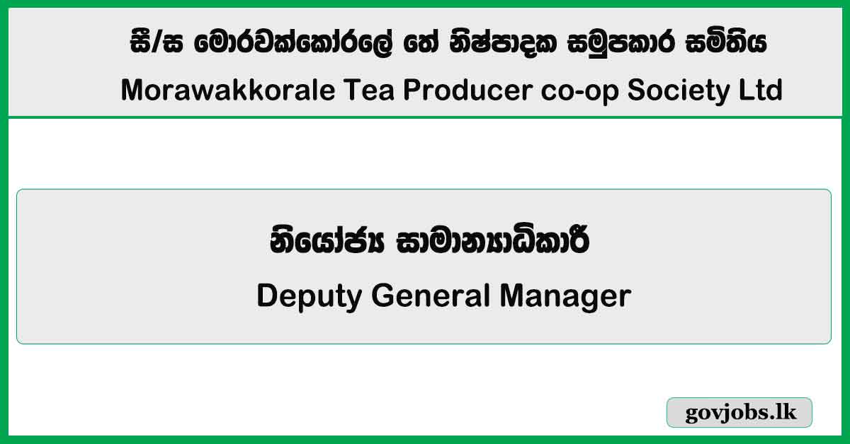 Deputy General Manager - Morawakkorale Tea Producer co-op Society Ltd Job Vacancies 2025