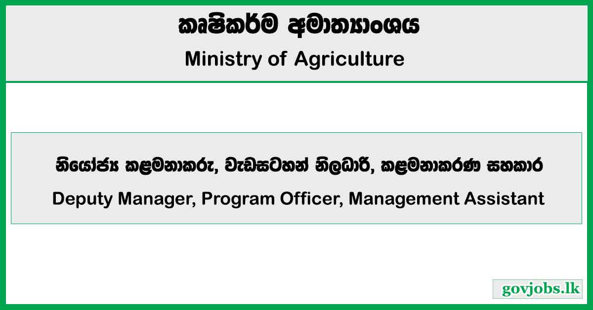 Deputy Manager, Program Officer, Management Assistant - Ministry of Agriculture Job Vacancies 2024