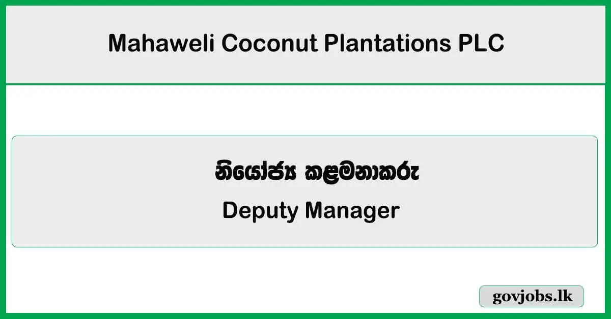 Deputy Manager – Mahaweli Coconut Plantations PLC Job Vacancies 2025