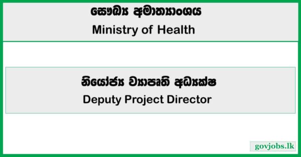 Deputy Project Director - Ministry of Health Job Vacancies 2025