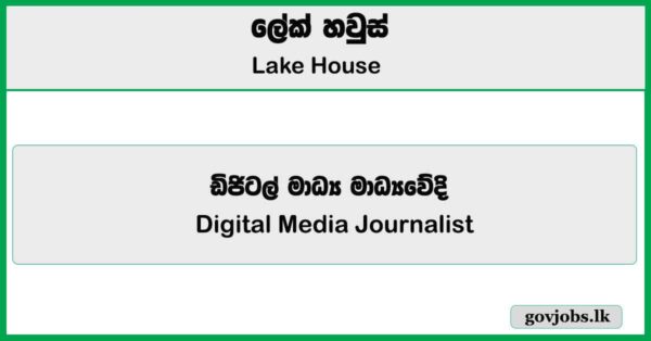 Digital Media Journalist - Lake House Job Vacancies 2025