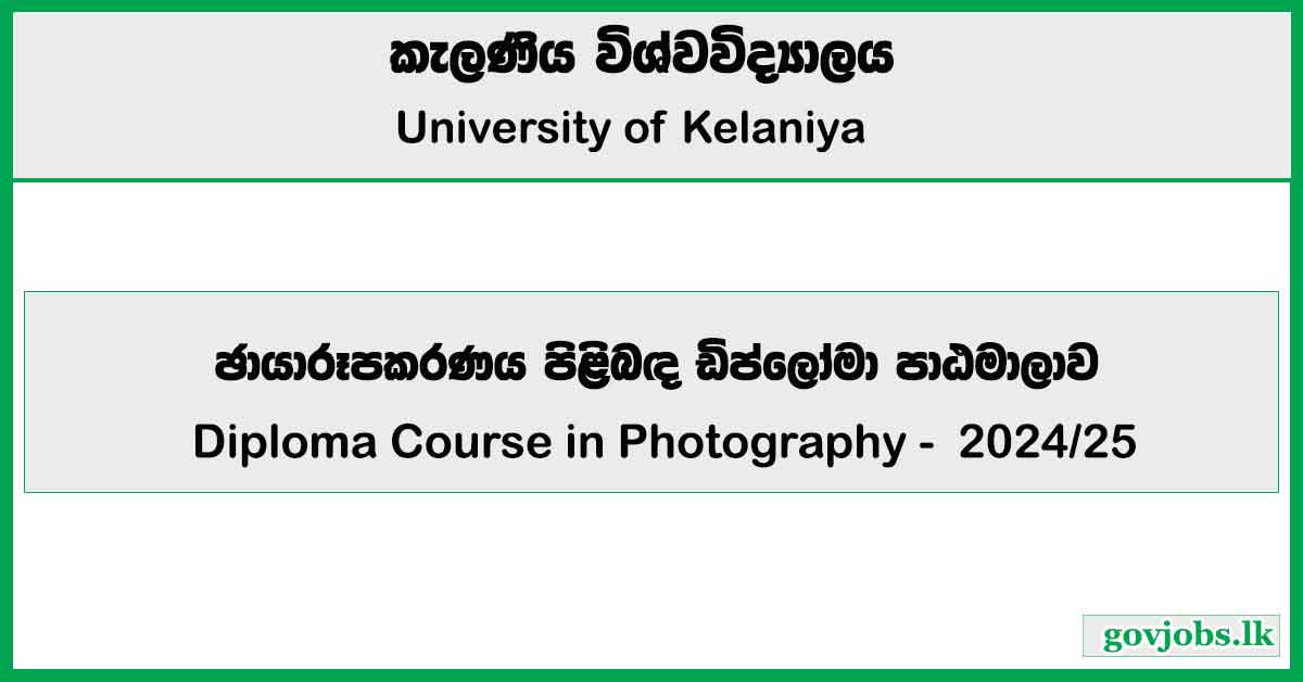 Diploma Course in Photography 2024