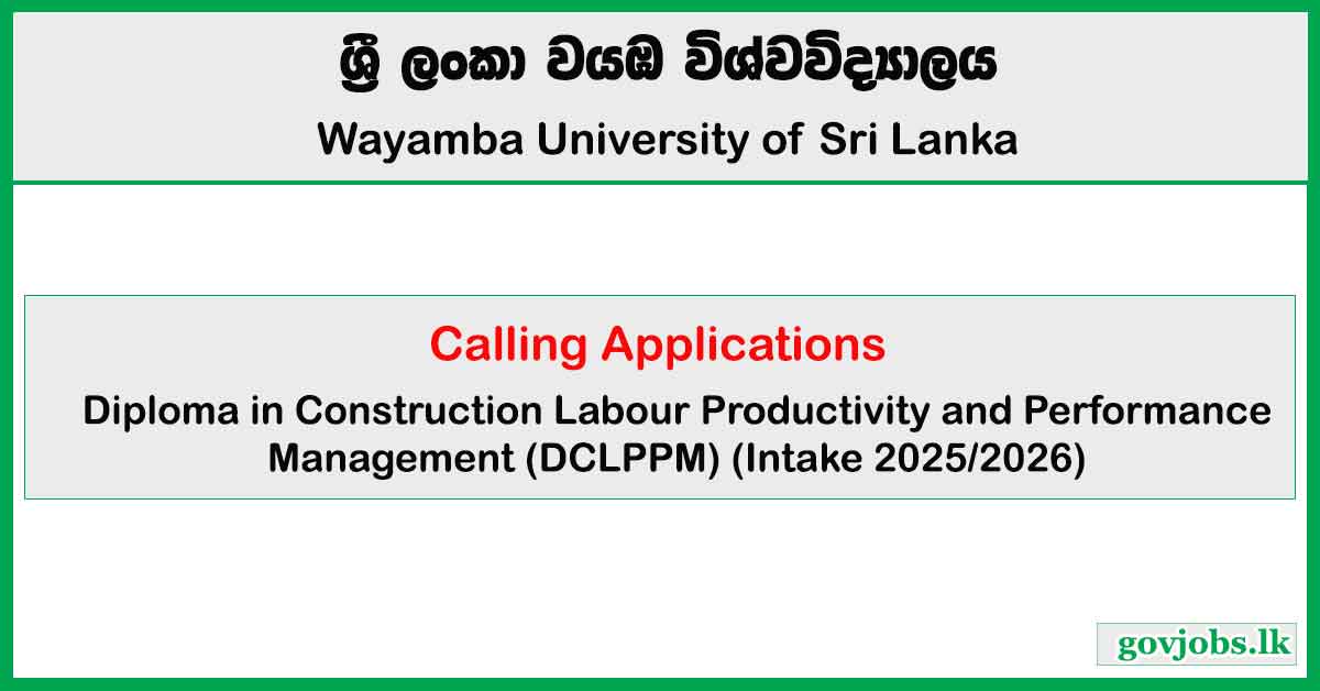 Diploma in Construction Labour Productivity and Performance Management 2025