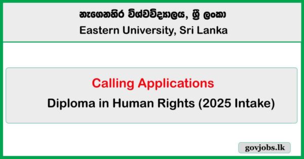Diploma in Human Rights 2025