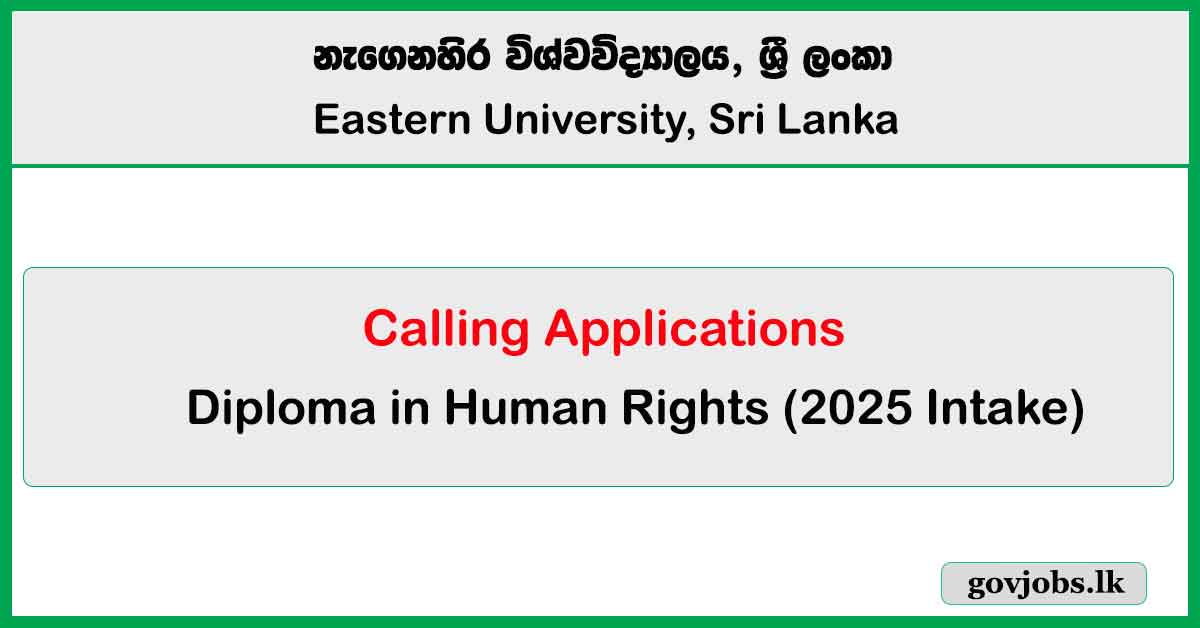Diploma in Human Rights 2025
