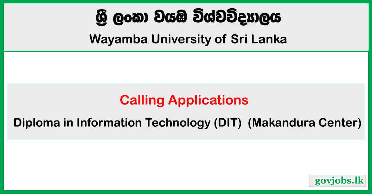 Diploma in Information Technology 2025