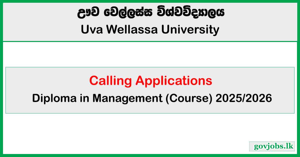 Diploma in Management 2025