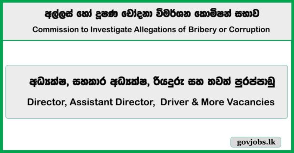 Director, Assistant Director, Driver & More Vacancies - Commission to Investigate Allegations of Bribery or Corruption Job Vacancies 2026