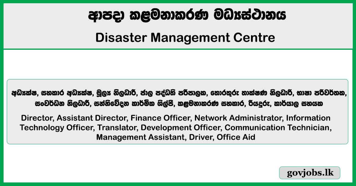 Director, Assistant Director, Finance Officer, Drive & More Vacancies - Disaster Management Centre Job Vacancies 2026