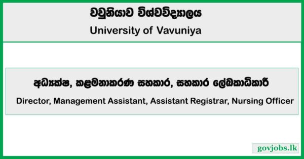 Director, Assistant Registrar, Management Assistant - University of Vavuniya Job Vacancies 2025