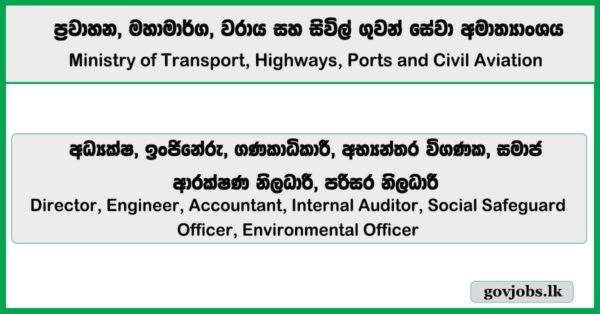 Director, Engineer, Accountant, Internal Auditor, Social Safeguard Officer, Environmental Officer – Ministry of Transport, Highways, Ports and Civil Aviation Job Vacancies 2025