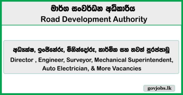 Director , Engineer, Surveyor, Mechanical Superintendent, Auto Electrician, & More Vacancies - Road Development Authority (RDA) Job Vacancies 2026
